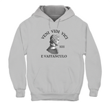Hoodie Unisex Veni, Vidi, Vici....