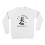 VENI, VIDI, VICI.... SWEATER!